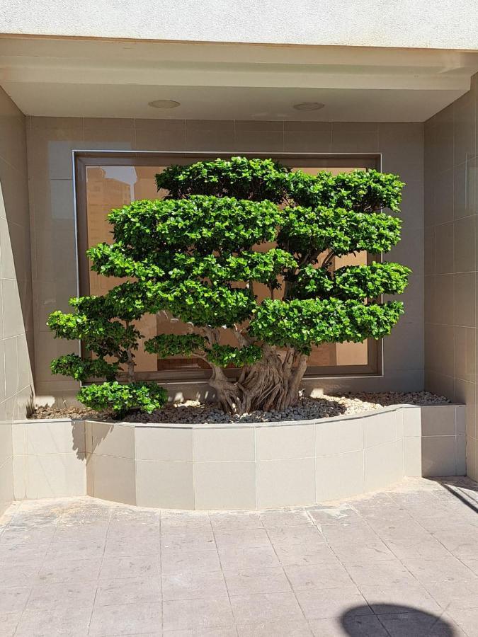 Esmeralda Seaview Appartement *